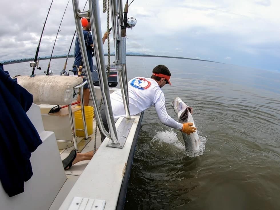 Tarpon fishing in Panama