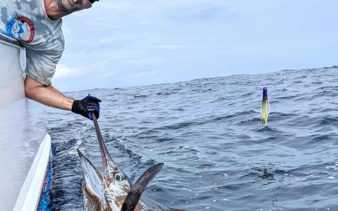 The Billfish of Central America