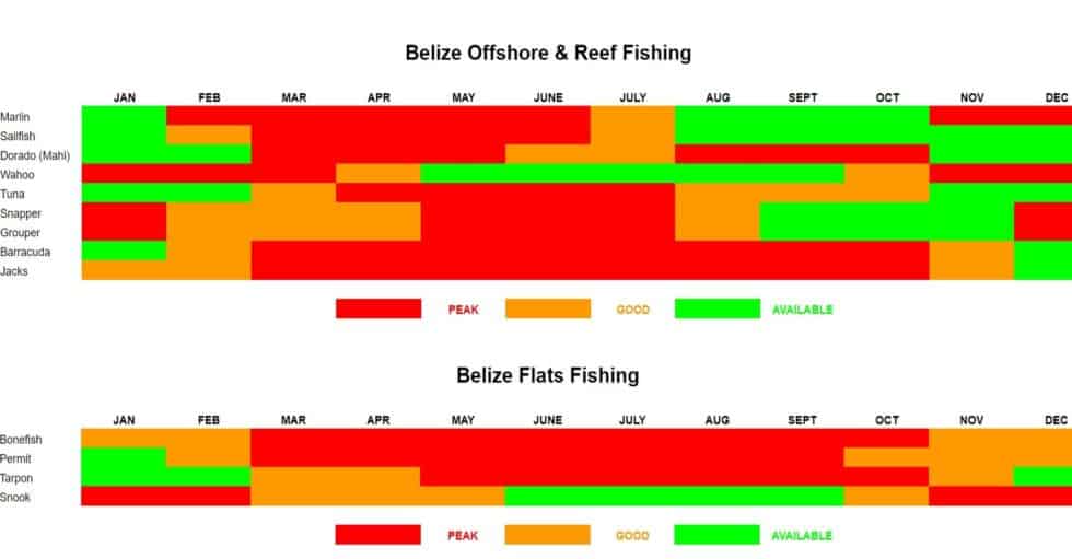 Belize Fishing Calendar