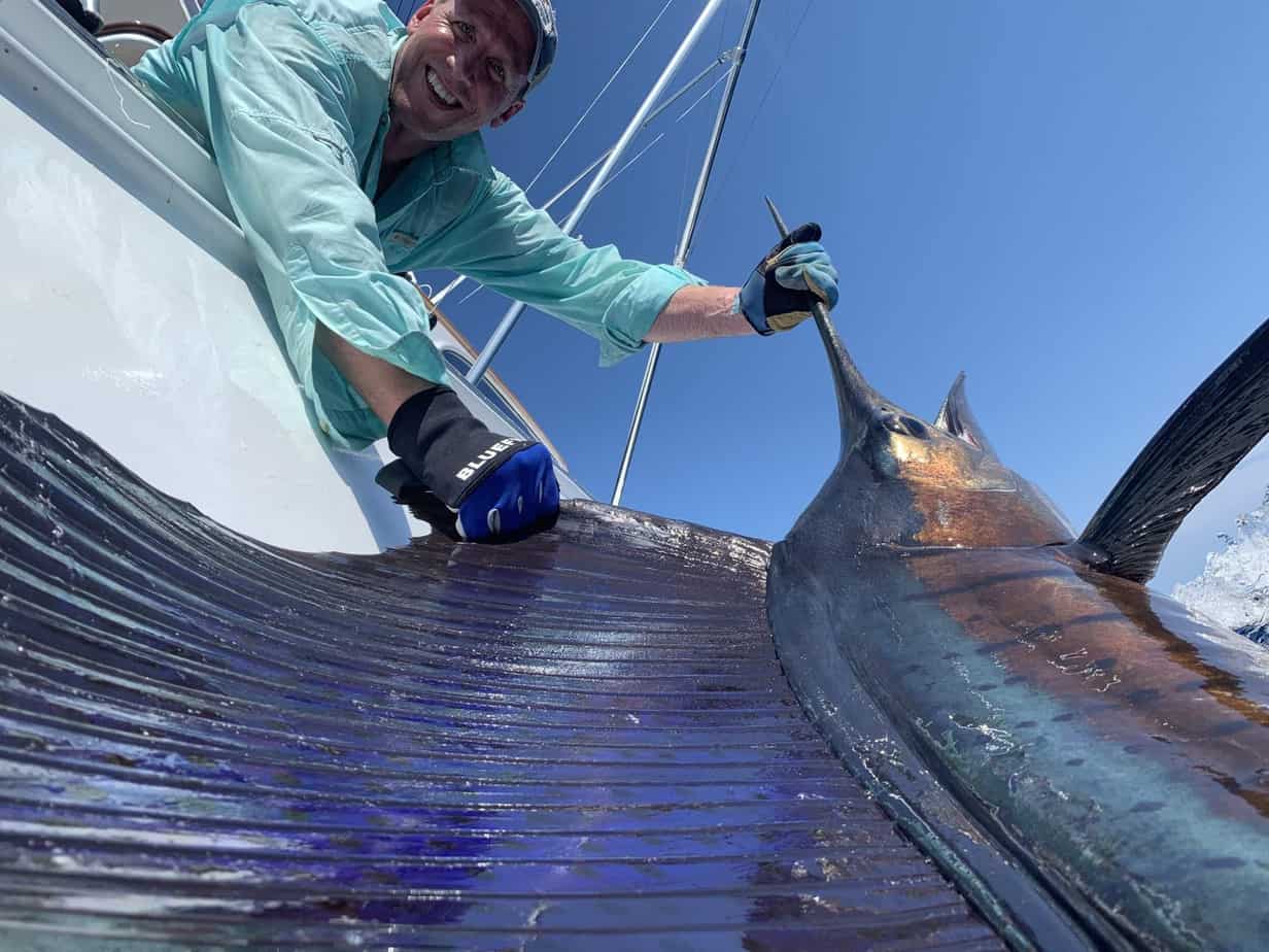 The Classic Striped Marlin Lure Spread - The Fishing Website