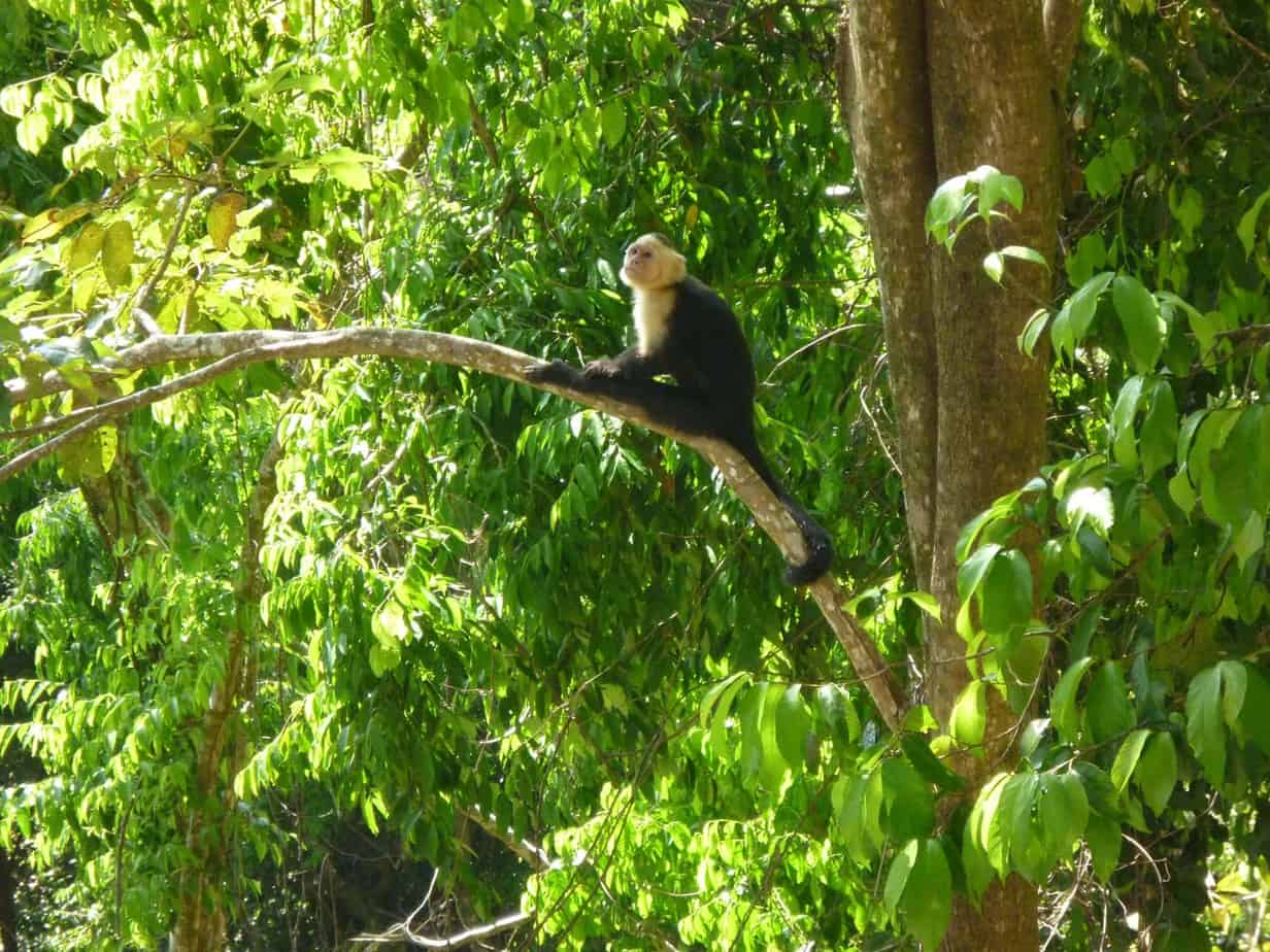 Copy-of-P1020327-copy