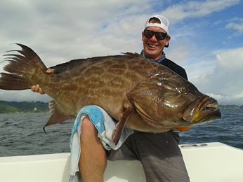 grouper, Costa Rica