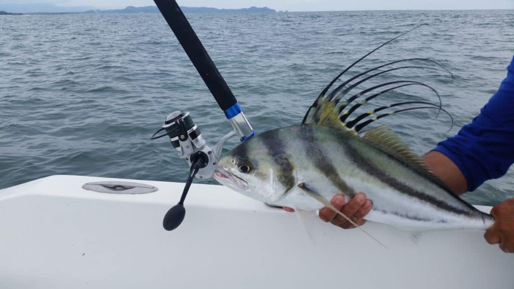 Fishing Tackle Review - Okuma Nomad Travel Rods