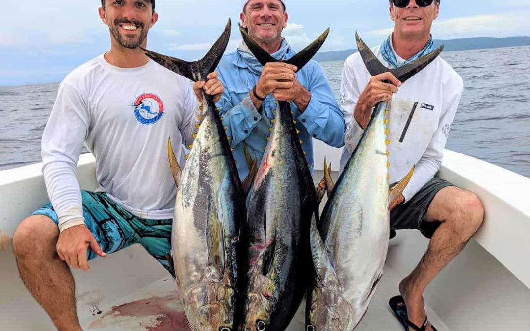 When is the Best Time to Catch Yellowfin Tuna?