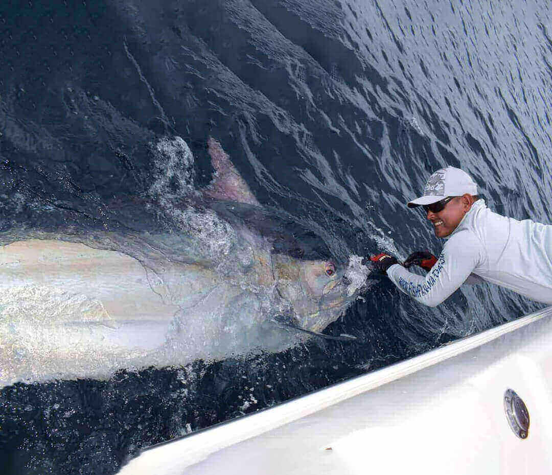 Marlin in Central America