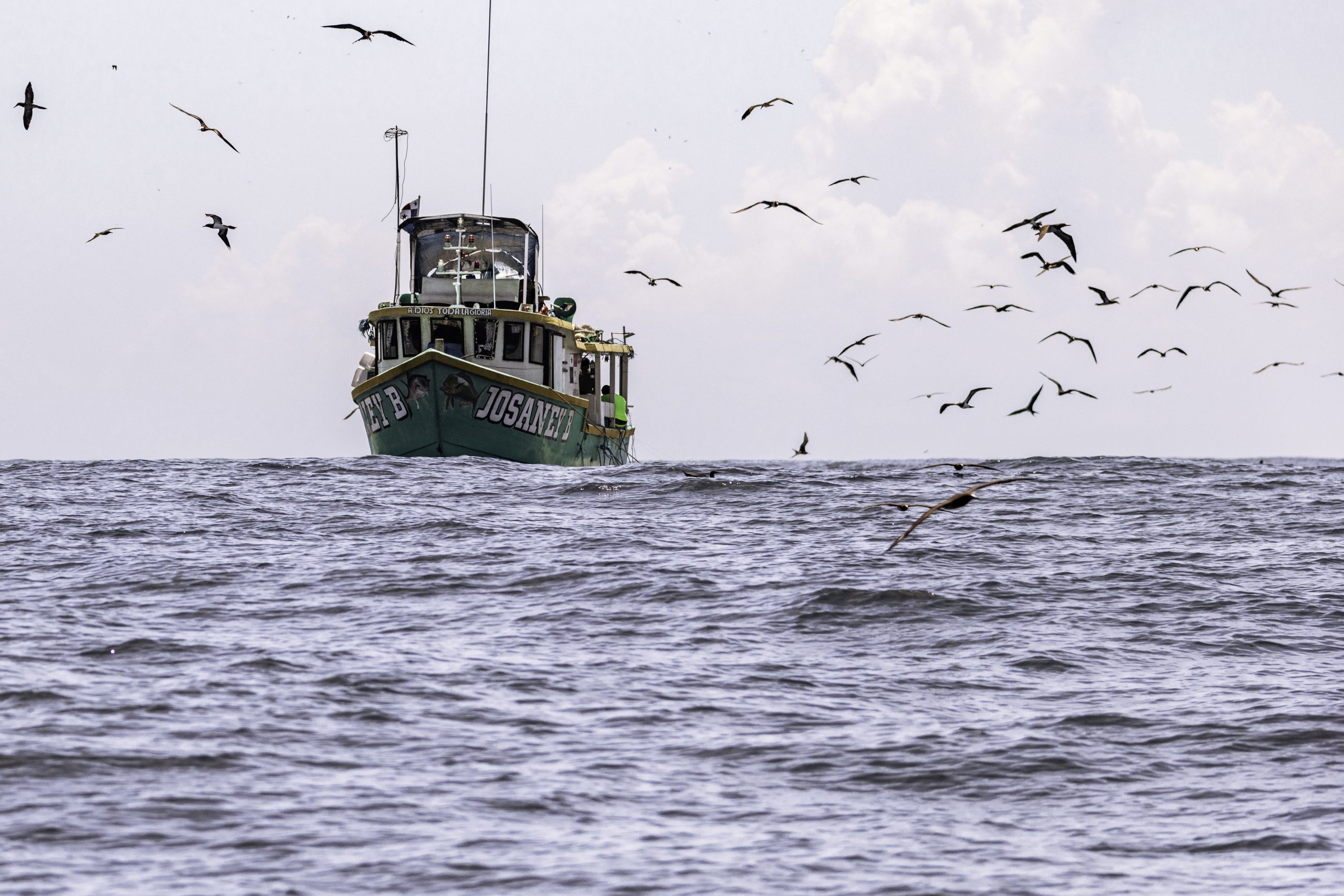 Commercial tuna boat in Panama