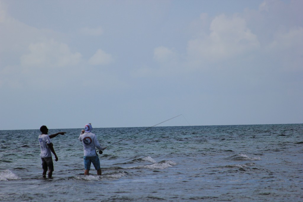 Fly Fishing in Belize