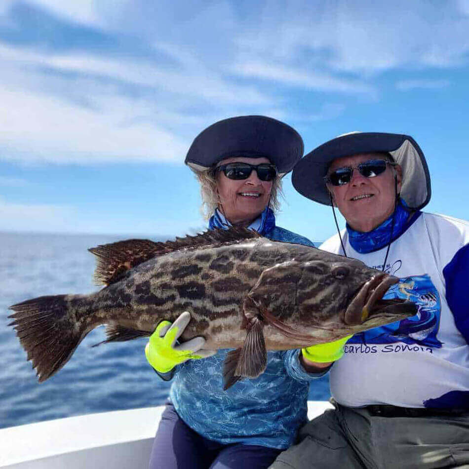 Grouper Fish  Central America Fishing