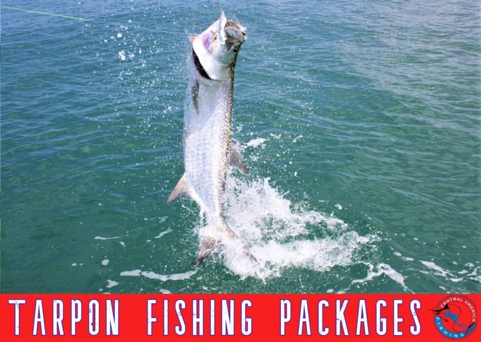 Costa Rica Tarpon fishing packages