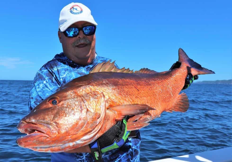 catch and release cubera snapper