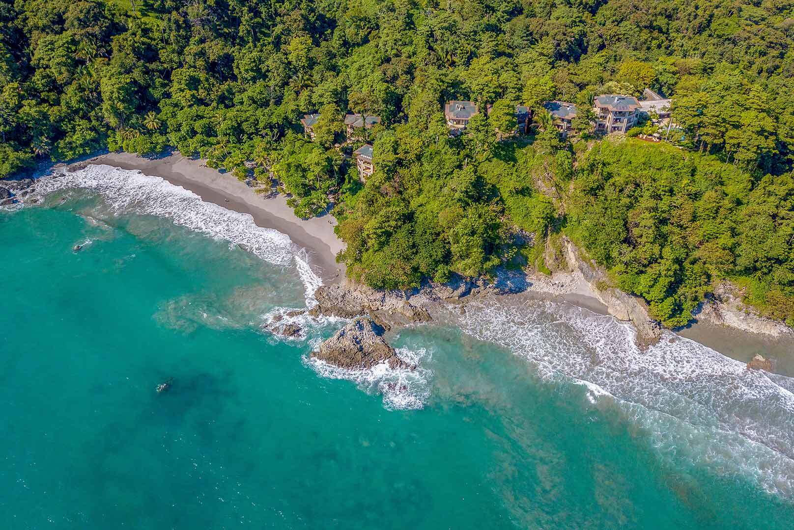 1-Rainforest-Meets-Ocean