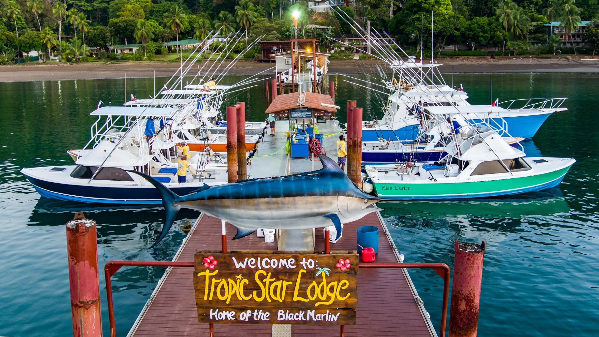 Famous fleet of 31' Bertrams at the Tropic Star Lodge