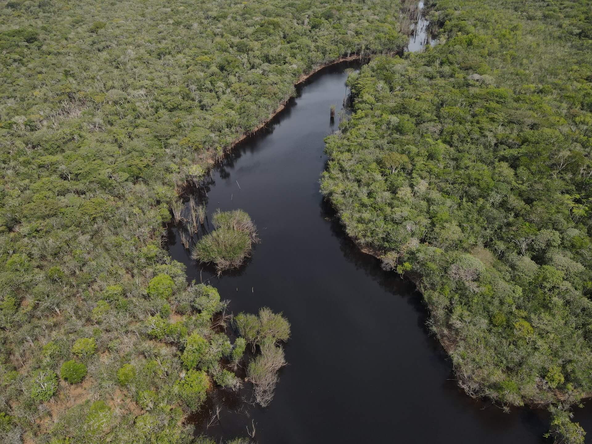 Fishing in the Brazilian Amazon