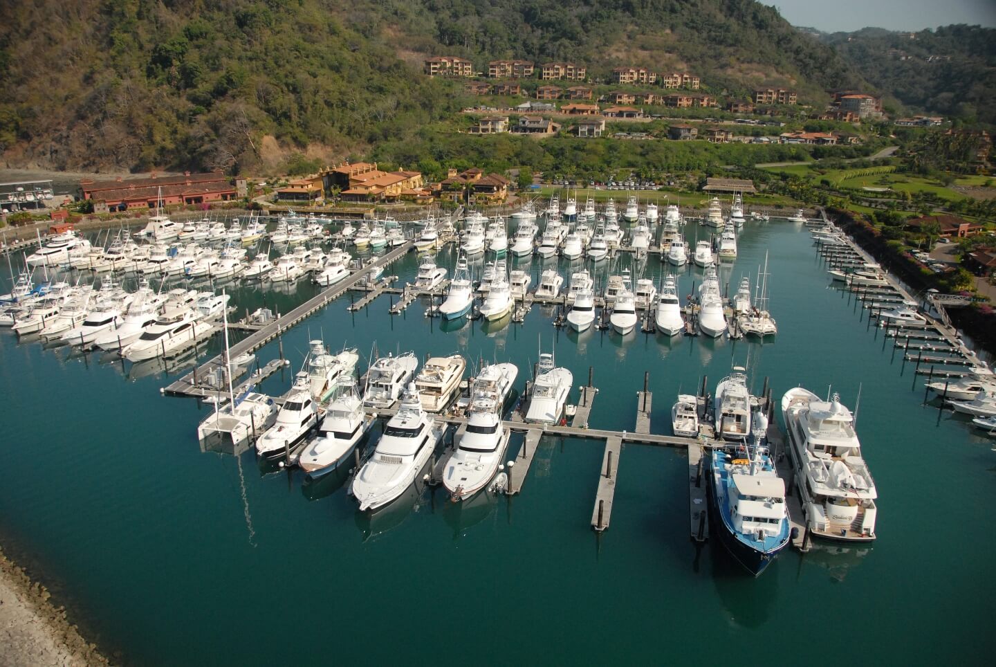 Copy of marina 1 (1) (1)