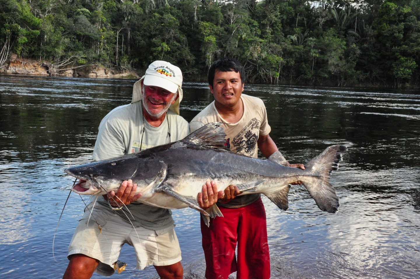 Brazil Fishing Vacation  Peacock Bass Fishing in Brazil - Central