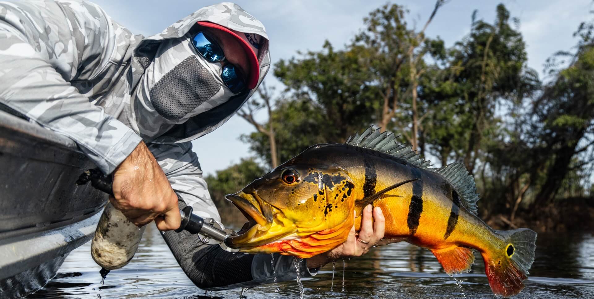 Peacock bass fishing in Brazil