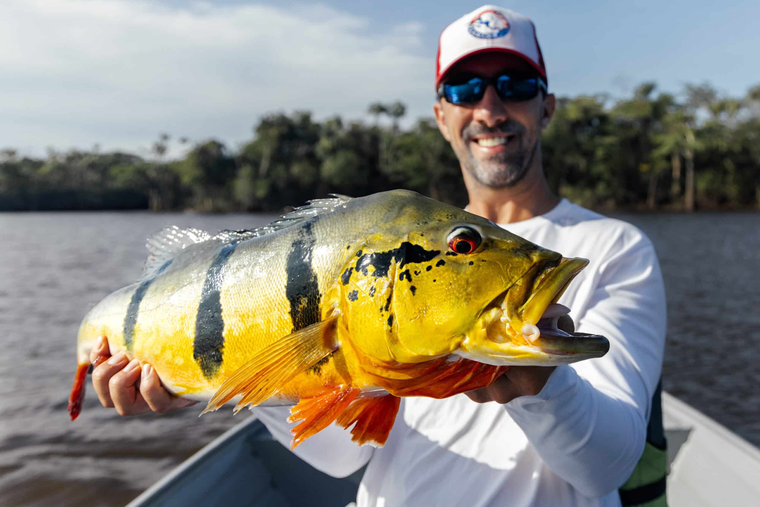 Brazil Fishing Vacation  Peacock Bass Fishing in Brazil - Central