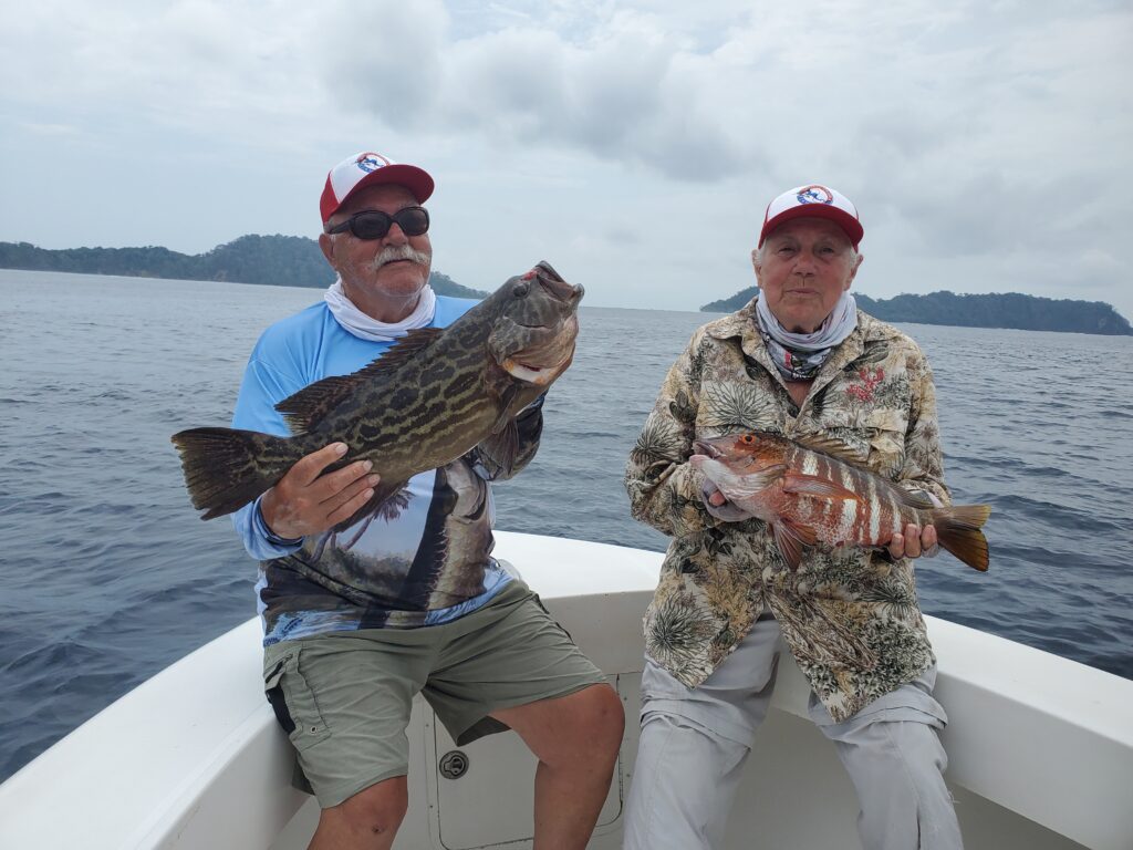 Broomtail grouper and rock snapper for Don & Virginia