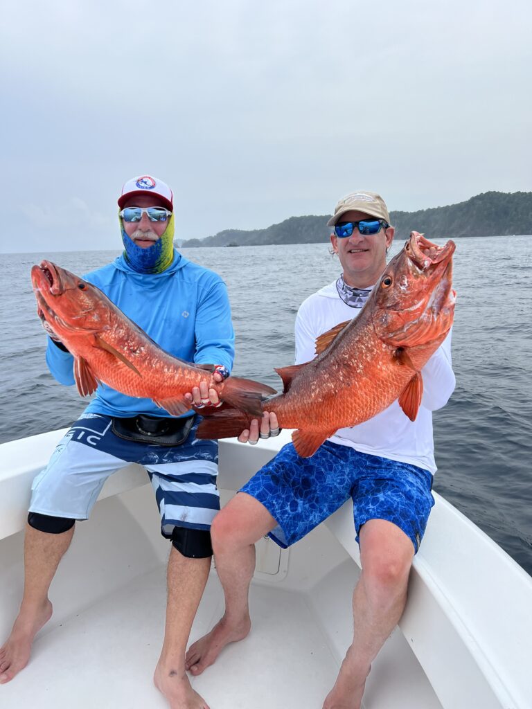 Only in Panama - a double on cubera snapper!