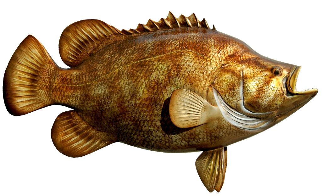 Tripletail
