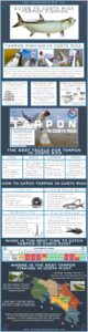 Free downloadable Costa Rica Tarpon Fishing Guide Free downloadable Costa Rica Tarpon Fishing Guide