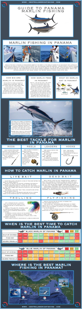 Free downloadable Guide to Panama Marlin Fishing produced by CAF