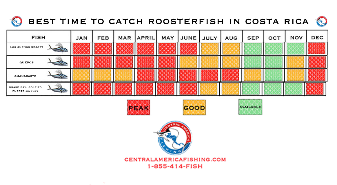 Costa Rica Roosterfish Calendar