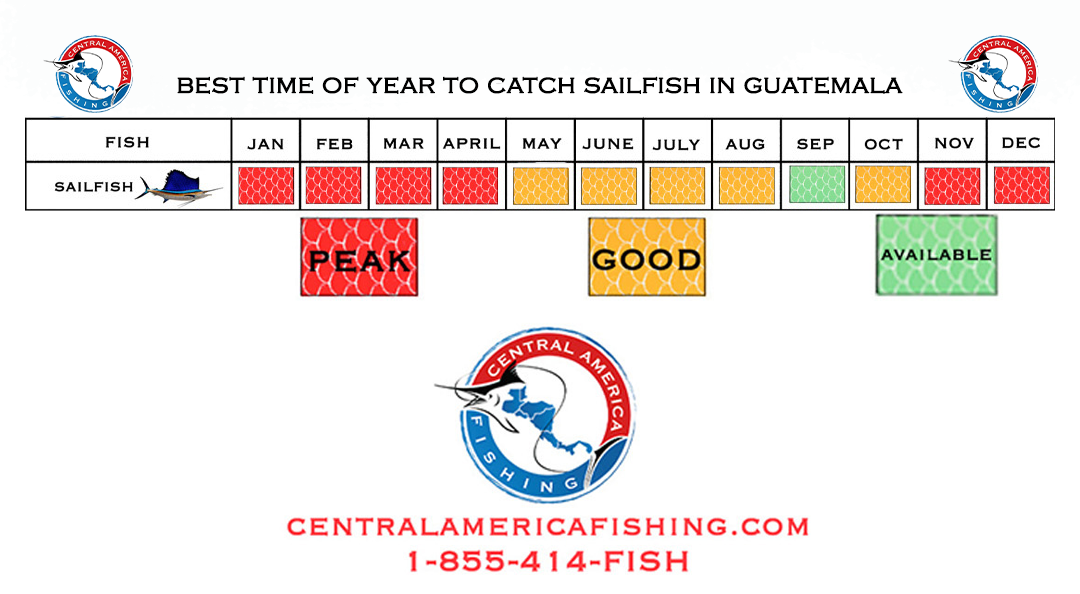 Gaute. Sails Guatemala Sailfishing calendar